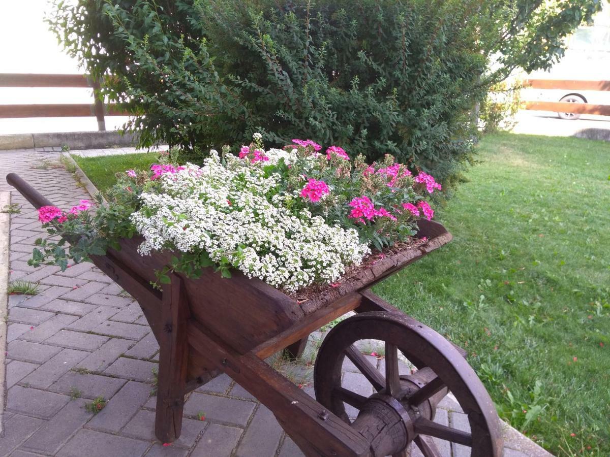 Casa Dello Sciatore بورمْيو المظهر الخارجي الصورة